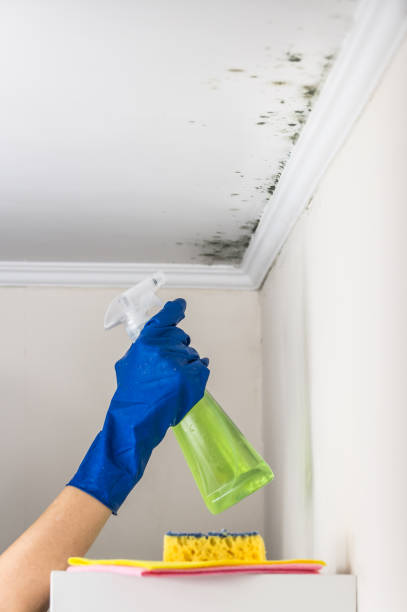 Smith Center, KS Mold Remediation Company